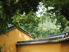 -阿育王寺