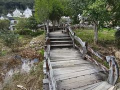 -雁南飞茶田景区