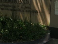 -上海昆虫博物馆