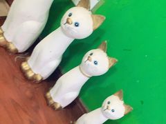-李小姐の猫咖啡馆(五角场店)