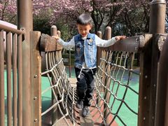 -唐城墙遗址公园