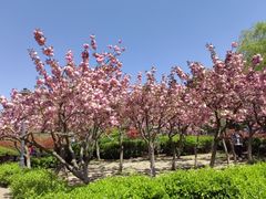 -马濠公园