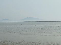 -合肥滨湖国家森林公园