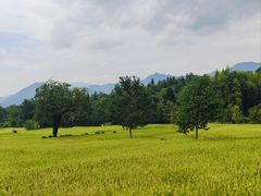-塔川景区