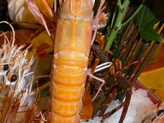 -京旬海鲜放题·铁板烧自助餐厅