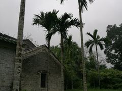 -红色娘子军纪念园