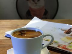 -No Cat 手碟