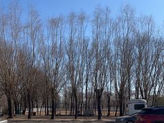 -北京群众马术培训基地