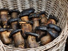 -华冠悠岚·庭院餐厅(青城后山店)