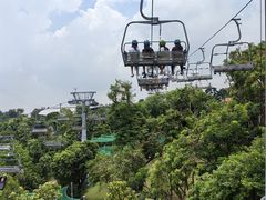 -圣淘沙天际线斜坡滑车