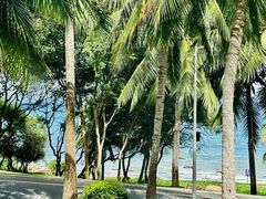 -三亚南山文化旅游区