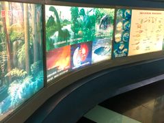 -上海昆虫博物馆