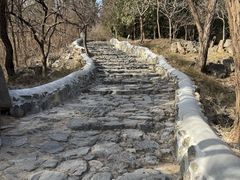 -阳台山自然风景区