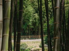 -杭州植物园