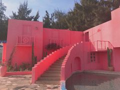 -北海金海湾红树林生态旅游区