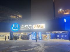 -盒马X会员店(王府井奥莱UP TOWN店)