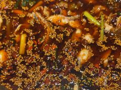 -胖子鱼·天水麻辣鱼火锅(秦州407店)