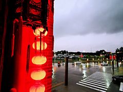 -回真楼(东门店)