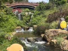 -云溪植物园