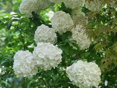 -杭州城北体育公园