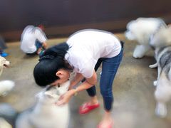-TrueLove @ Neverland (Husky Cafe)