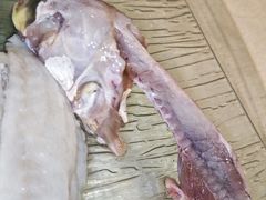 -孔庆璞河豚馆(白玉兰酒店)