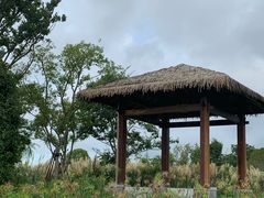 -三垟湿地