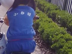 -上海浦东新区民办小白鸽幼儿园