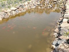 -北纬44度·金珠花海休闲农业旅游景区