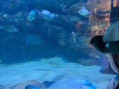 -海合安成都极地海洋公园