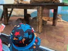 -大连森林动物园