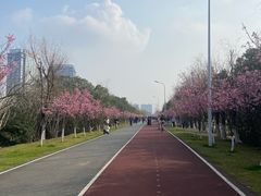 -艾溪湖湿地公园