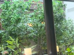 -狮王府淮扬菜(夫子庙老门东店)