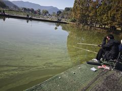 -东钱湖旅游度假区