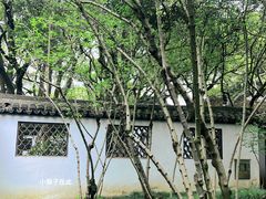 -上海醉白池公园