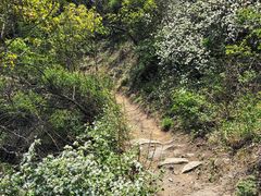 -鬼笑石后山停车场