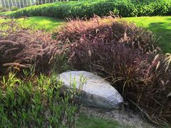 -深圳市人才园(深南大道店)