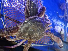 -好兄弟郭巨海鲜(天一阁店)