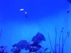 -泉城欧乐堡海洋极地世界
