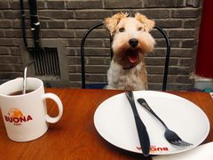 -百好乐宠物友好餐厅(朝外大街店)