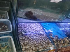 -晶渔坊·海鲜私房菜(东夷小镇店)