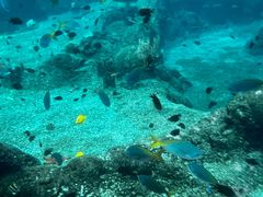 -新加坡水上探险乐园