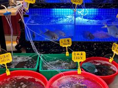 -三爷糟粕醋·鲜鱼汤·海南特色小吃(新华南路店)