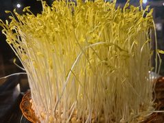 -巴倒烫陆派火锅山庄(南山总店)