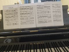 -弘智卉艺术教育/高端琴房(中央音乐学院店)