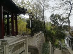-伯先公园