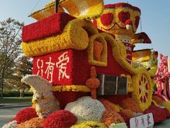 -荷兰花海