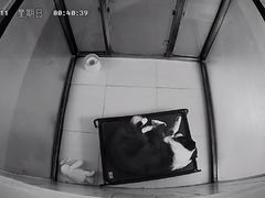 -趣玩宠物乐园寄养训犬训狗游泳池