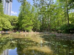 -人民公园-相亲角