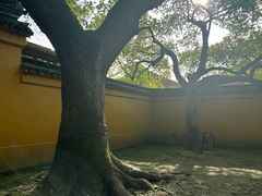 -西园戒幢律寺